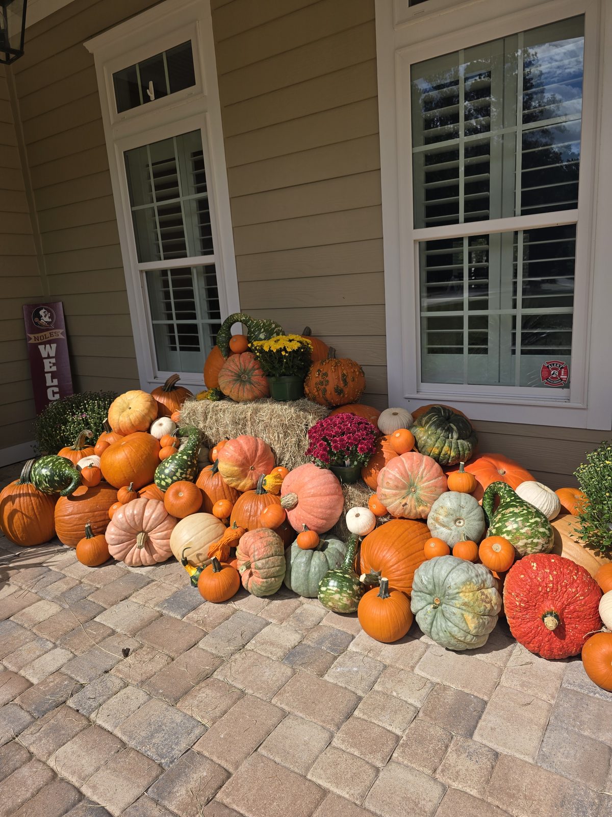A large pumpkin display built around a hay bale with yellow and burgundy mums.